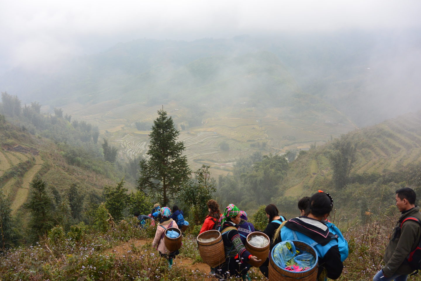 Trekking en Sapa