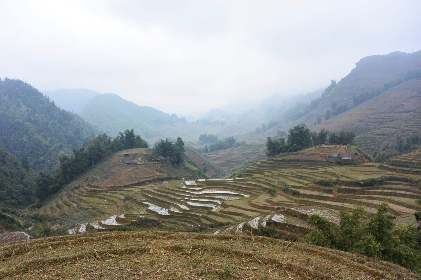 Arrozales y montañas en Sapa