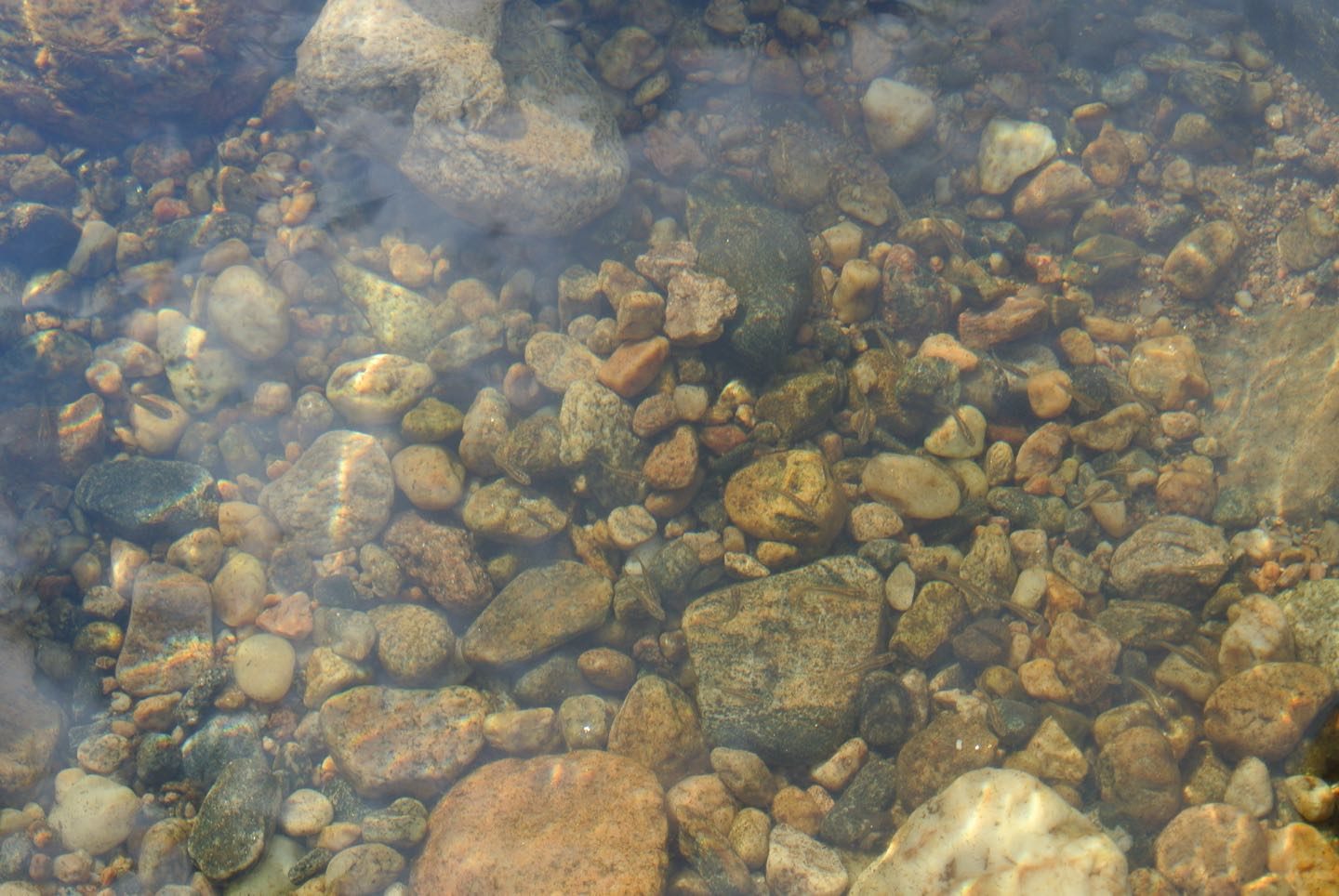 Cristal clear water and fish in Tres Piletas Rio Quilpo, San Marcos Sierra.