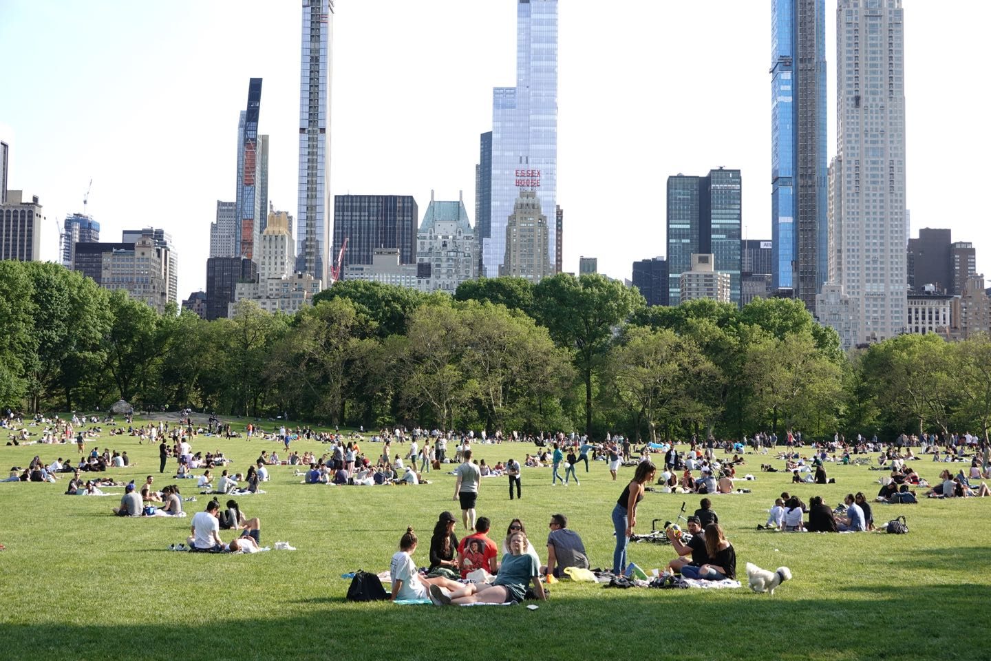 Mejores atracciones del Central Park. Sheep Meadow.