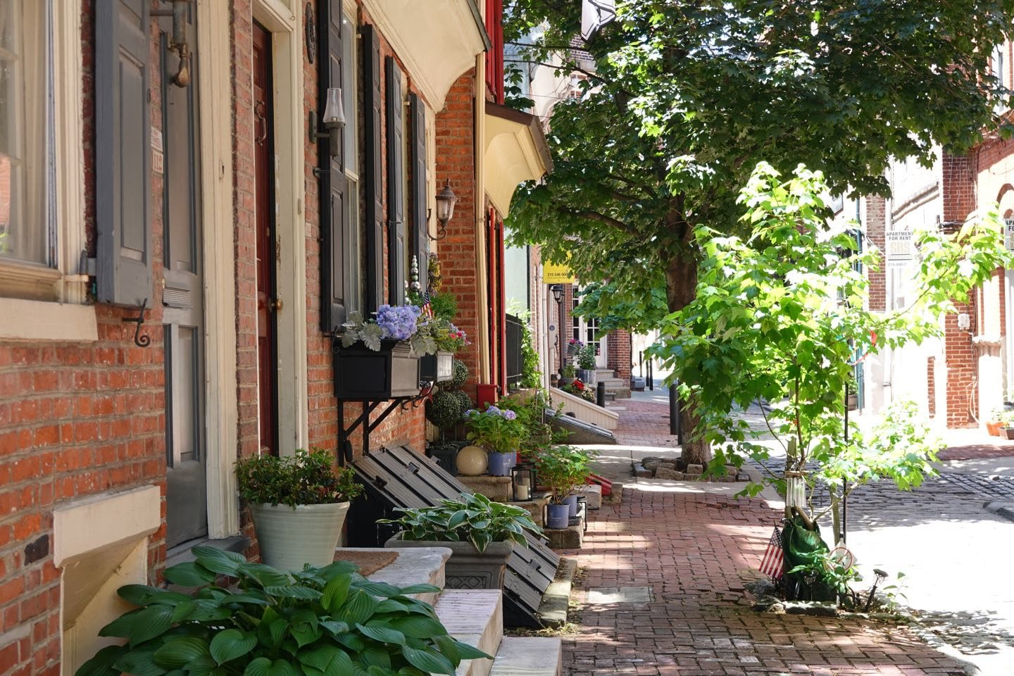 Lovely alleys of Philadelphia.